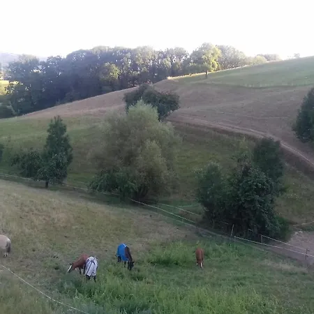 Pferdehof Doersam * Mörlenbach