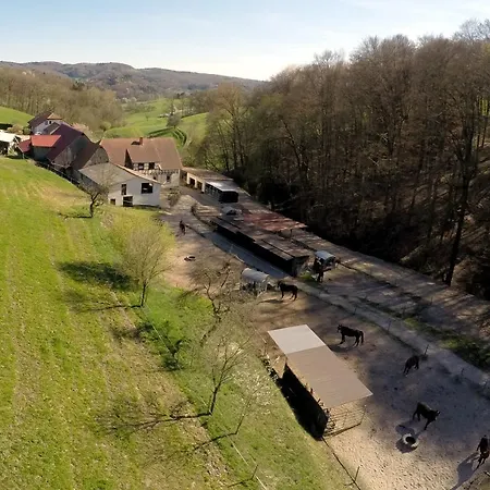 Séjour à la ferme Pferdehof Doersam Mörlenbach