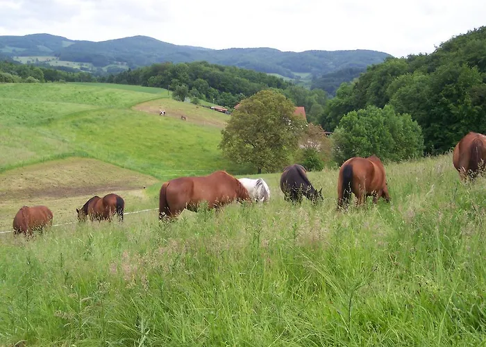 Pferdehof Doersam Çiftlik konaklama